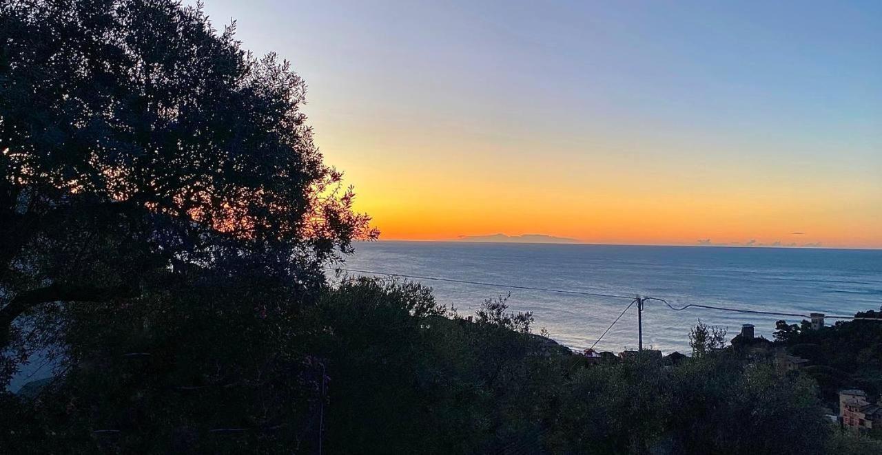 Sunrise Apartament モンテロッソ・アル・マーレ エクステリア 写真